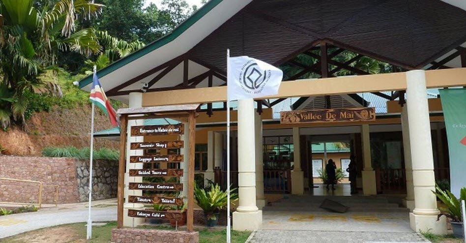 Vallée de Mai, Seychelles